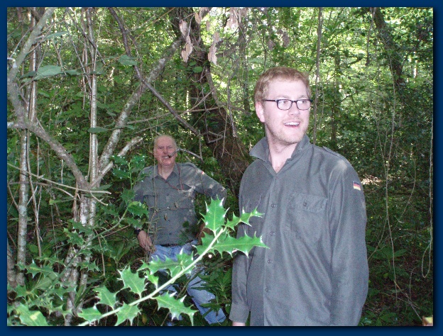 600x449 pixels (196K)